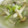 ママ10年生's cooksnap of when they made 簡単♪15分でしめじと白ネギのスープ.
