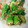 かぴーな's cooksnap of when they made おくらのおかか和え.