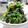 zakkiiM's cooksnap of when they made ほうれん草の彩りゴママヨ和え.