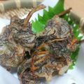 ku: meg 's cooksnap of when they made もずく天ぷら.