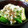 柳やなぎ's cooksnap of when they made オクラのお浸し　とろろ昆布添え.