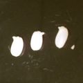 くりぃむ・ぱふ's cooksnap of when they made 発芽玄米★シャトルシェフで簡単に!.