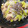 みーこさん☆'s cooksnap of when they made ウチの定番・白菜と牛小間の塩炒め煮。.
