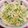 ピンピンコロリ's cooksnap of when they made ゴーヤと玉ねぎのそうめんサラダ.
