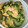 きらり流れ星's cooksnap of when they made 簡単！ゴーヤの卵とじ.