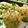 enzo_lorenzo's cooksnap of when they made ゼメルクヌードル【ドイツ料理】.