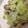 にんじんごろう's cooksnap of when they made しめじとキャベツのマヨサラ.