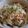 ヤスネエ's cooksnap of when they made 即席☆ﾚﾝｼﾞでたぬきつねうどん.
