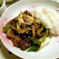 なーやん☆'s cooksnap of when they made 牛肉と白ネギのオイスターソース炒め.