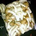 水野しずく's cooksnap of when they made 椎茸、しめじ、えのきの保存方法.