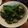 まろんぴ's cooksnap of when they made オクラの白だし漬け.