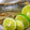 makibom592's cooksnap of when they made 秋刀魚の梅煮 徳島風.