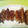 erims's cooksnap of when they made 簡単で美味しい☆エリンギの豚肉巻き♪.