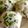 rynbaskets's cooksnap of when they made 枝豆のおにぎり.