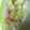 キャスミン★'s cooksnap of when they made いかとレタスのごま和えです。.