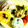 ma:9's cooksnap of when they made ✿しらすとわかめのおにぎり✿.