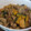 そう＆のん's cooksnap of when they made かぼちゃと豚肉のオイソイ炒め♪.