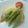 Shirumama's cooksnap of when they made じゃがいもといんげんのサラダ.