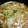 みいちゃんですよ's cooksnap of when they made 白菜と豚ひき肉のとろぉ～りスープ.