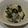 hana吉都's cooksnap of when they made 大根とわかめのナムル☆うまうま～.