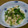 にっしししししししし's cooksnap of when they made 簡単もう1品❤小柱と小松菜の和え物.