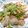 げしみ's cooksnap of when they made ゴーヤ入り。塩昆布野菜炒め.