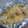 mutsupy's cooksnap of when they made しょうゆ麹の玉ねぎマヨネーズ焼き.