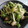 ヤスネエ's cooksnap of when they made 簡単♪ 水菜と梨のサラダ.