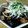 ふーちゃん８７３９'s cooksnap of when they made 鶏肉とナスの揚げ浸し　エスニック風ソース.