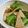 ぽんずー's cooksnap of when they made 四角豆とハムの胡麻和え.
