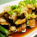 kemi374's cooksnap of when they made 茄子とピーマンの揚げびたし.