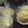 めぐ1's cooksnap of when they made お店の味♡ふんわりプレーンマフィン.