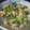 K/S's cooksnap of when they made ほうれん草と卵の炒めもの.