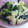 チビ太さん's cooksnap of when they made 小松菜と油揚げの煮浸し.