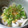 ぽんぱけを's cooksnap of when they made 【簡単おかず】ちくわとねぎのごはん泥棒.