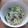 づぃんこ's cooksnap of when they made 牡蠣のレモンクリームパスタ.