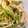 しばたなおみ's cooksnap of when they made 低カロ簡単☆エリンギともやしの炒め物.