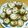 千乃葉's cooksnap of when they made さんまのチーズサンドフライ.