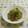 赤い電話's cooksnap of when they made 夜食グルメ★昆布茶と黒ごまの和風パスタ.