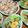 ぽちゃ華's cooksnap of when they made バリごはん.