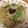 このみん家's cooksnap of when they made 塩麹やきそば.