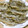 こじゅっち's cooksnap of when they made 頭からかぶりつきっ！ヤマメのから揚げ.