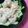 いこたん's cooksnap of when they made 簡単中華風豆腐シュウマイ.