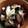 ごんたぱぱ's cooksnap of when they made タコとニンニクの香り炒め.