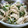 maruru-nn's cooksnap of when they made 鶏ささみとピーマンのマヨ和え.