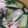 びば３'s cooksnap of when they made 簡単♪長芋ときゅうりのたたき梅和え.
