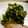 maruru-nn's cooksnap of when they made しゃきしゃき美味しい！　レタス炒め！.