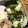 びんび❤'s cooksnap of when they made お手軽☆きゅうりの塩昆布和え.
