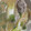yoriko1120's cooksnap of when they made 茄子と秋刀魚のつみれ汁.