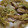 conn's cooksnap of when they made はくさいの煮物.